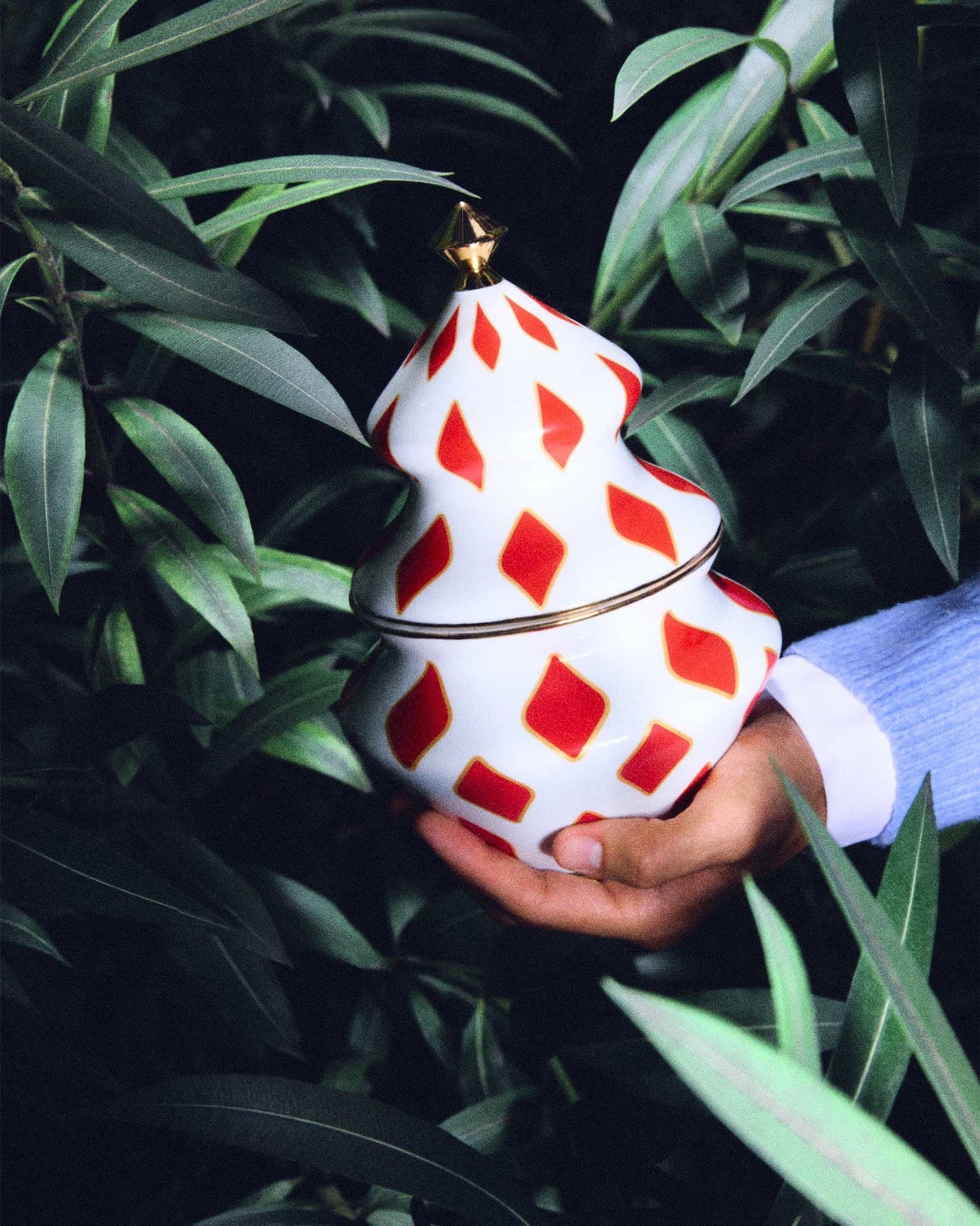 Delight Bon Bon Container