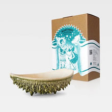 Carregar imagem no visualizador da galeria, Martinho and the Star - Green Moss