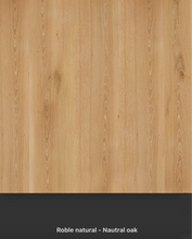 Load image into Gallery viewer, Terra Swivel