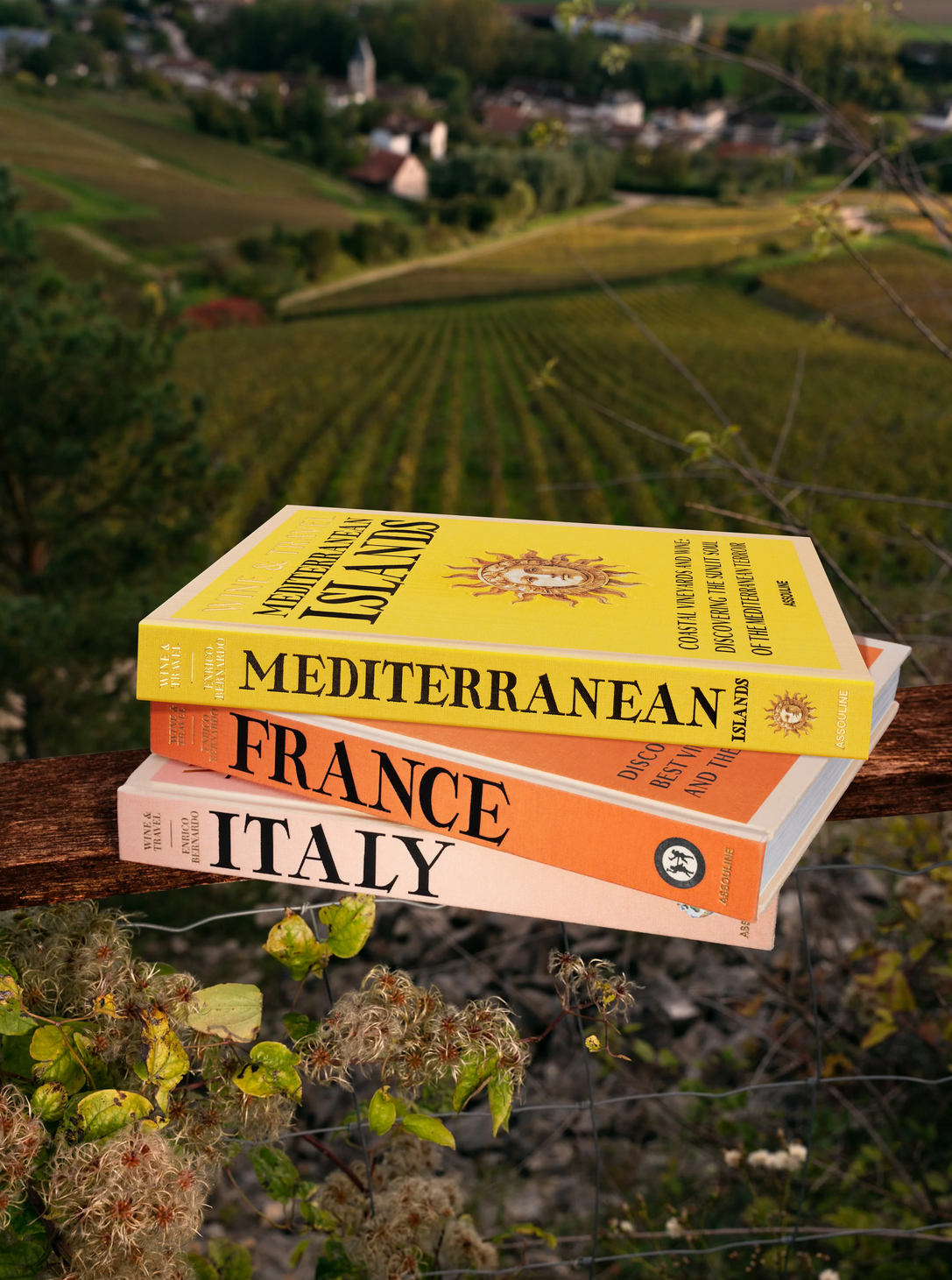 Wine & Travel Trio Gift Set