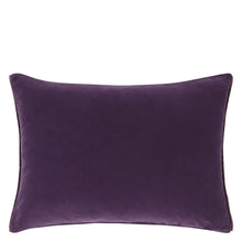 Load image into Gallery viewer, Cassia aubergine & magenta velvet