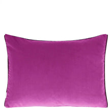 Load image into Gallery viewer, Cassia aubergine & magenta velvet