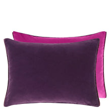 Load image into Gallery viewer, Cassia aubergine & magenta velvet