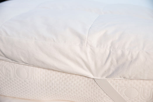 Featherbed - Standard edition