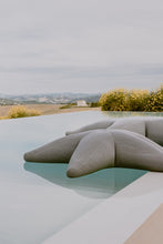 Carregar imagem no visualizador da galeria, Starfish