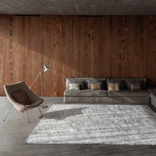 Carregar imagem no visualizador da galeria, Cozy rug