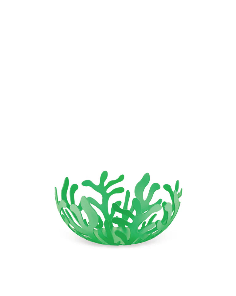 Mediterraneo