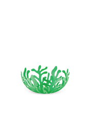 Load image into Gallery viewer, Mediterraneo