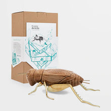 Carregar imagem no visualizador da galeria, The Cricket's Song - Camel with Brass Legs