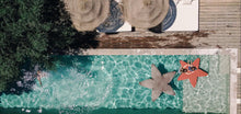 Carregar imagem no visualizador da galeria, Starfish