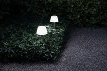 Carregar imagem no visualizador da galeria, Sunlight garden spike