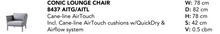 Carregar imagem no visualizador da galeria, Conic lounge chair