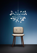 Load image into Gallery viewer, Heracleum II Suspended
