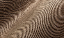Carregar imagem no visualizador da galeria, Collection Lush - Pattern Corduroy