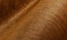 Carregar imagem no visualizador da galeria, Collection Lush - Pattern Corduroy
