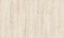 Load image into Gallery viewer, Collection Cameo - Pattern Escama