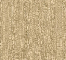 Load image into Gallery viewer, Collection Cameo - Pattern Escama