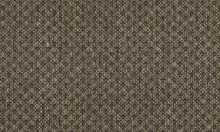 Load image into Gallery viewer, Collection Wildwalk - Pattern Ferox