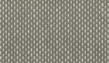 Load image into Gallery viewer, Collection Wildwalk - Pattern Ferox