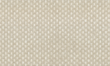 Load image into Gallery viewer, Collection Wildwalk - Pattern Ferox