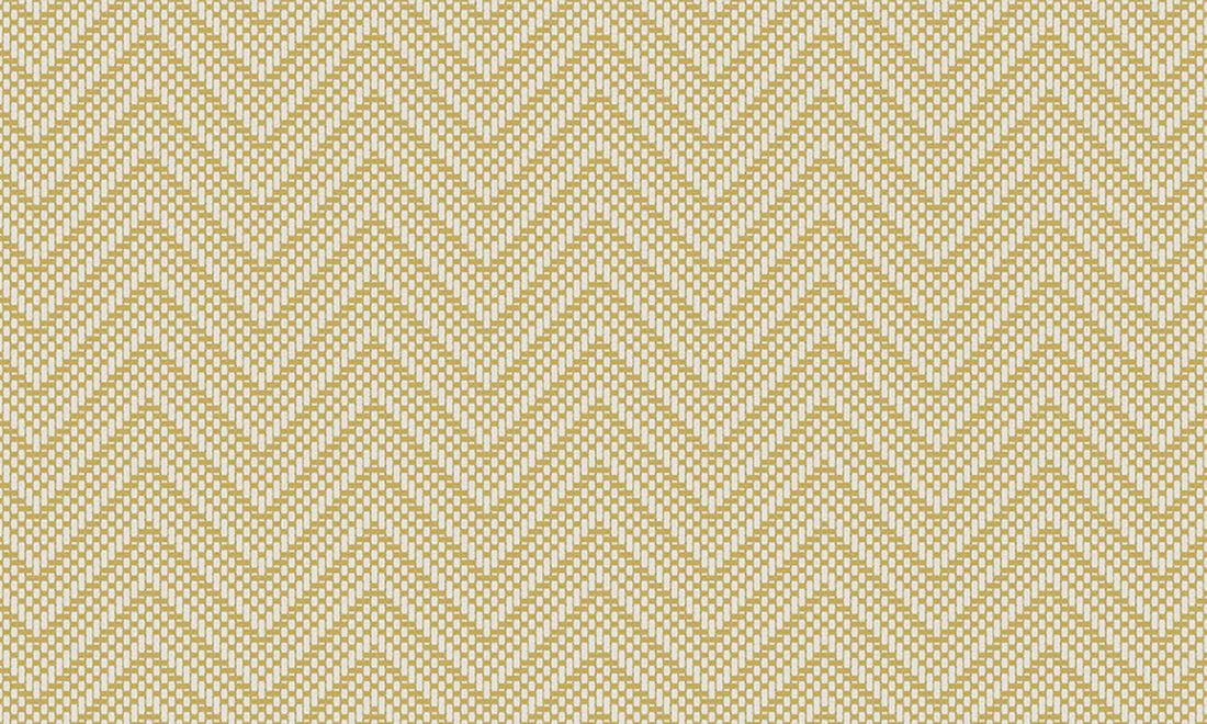 Collection Manovo - Pattern Harmony
