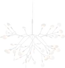 Load image into Gallery viewer, Heracleum II Suspended