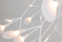 Load image into Gallery viewer, Heracleum II Suspended