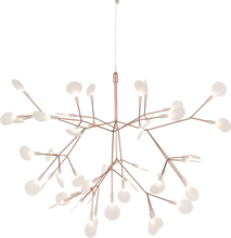 Load image into Gallery viewer, Heracleum II Suspended