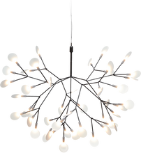 Load image into Gallery viewer, Heracleum II Suspended
