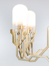 Carregar imagem no visualizador da galeria, Plant Chandelier