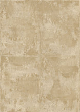 Load image into Gallery viewer, Collection Icons - Pattern Platinum