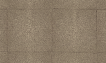 Load image into Gallery viewer, Collection Icons - Pattern Shagreen