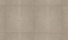 Load image into Gallery viewer, Collection Icons - Pattern Shagreen