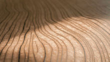 Load image into Gallery viewer, Collection Cameo - Pattern Timber