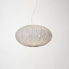 Carregar imagem no visualizador da galeria, Coral Seaurchin