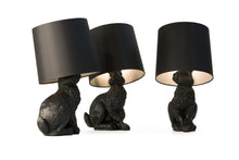 Carregar imagem no visualizador da galeria, Rabbit lamp