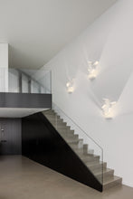 Carregar imagem no visualizador da galeria, Set