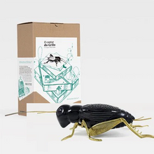 Load image into Gallery viewer, The Cricket&#39;s Song - Matt Black with Brass Legs
