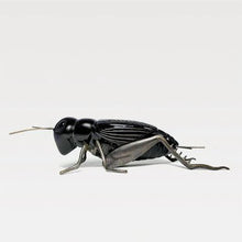 Carregar imagem no visualizador da galeria, The Cricket&#39;s Song - Matt Black with Oxidised Brass Legs
