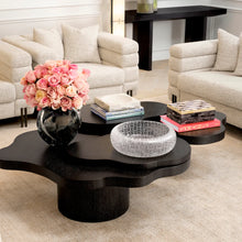 Carregar imagem no visualizador da galeria, Cesareo Coffee Table
