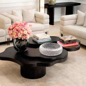 Cesareo Coffee Table