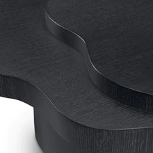 Carregar imagem no visualizador da galeria, Cesareo Coffee Table

