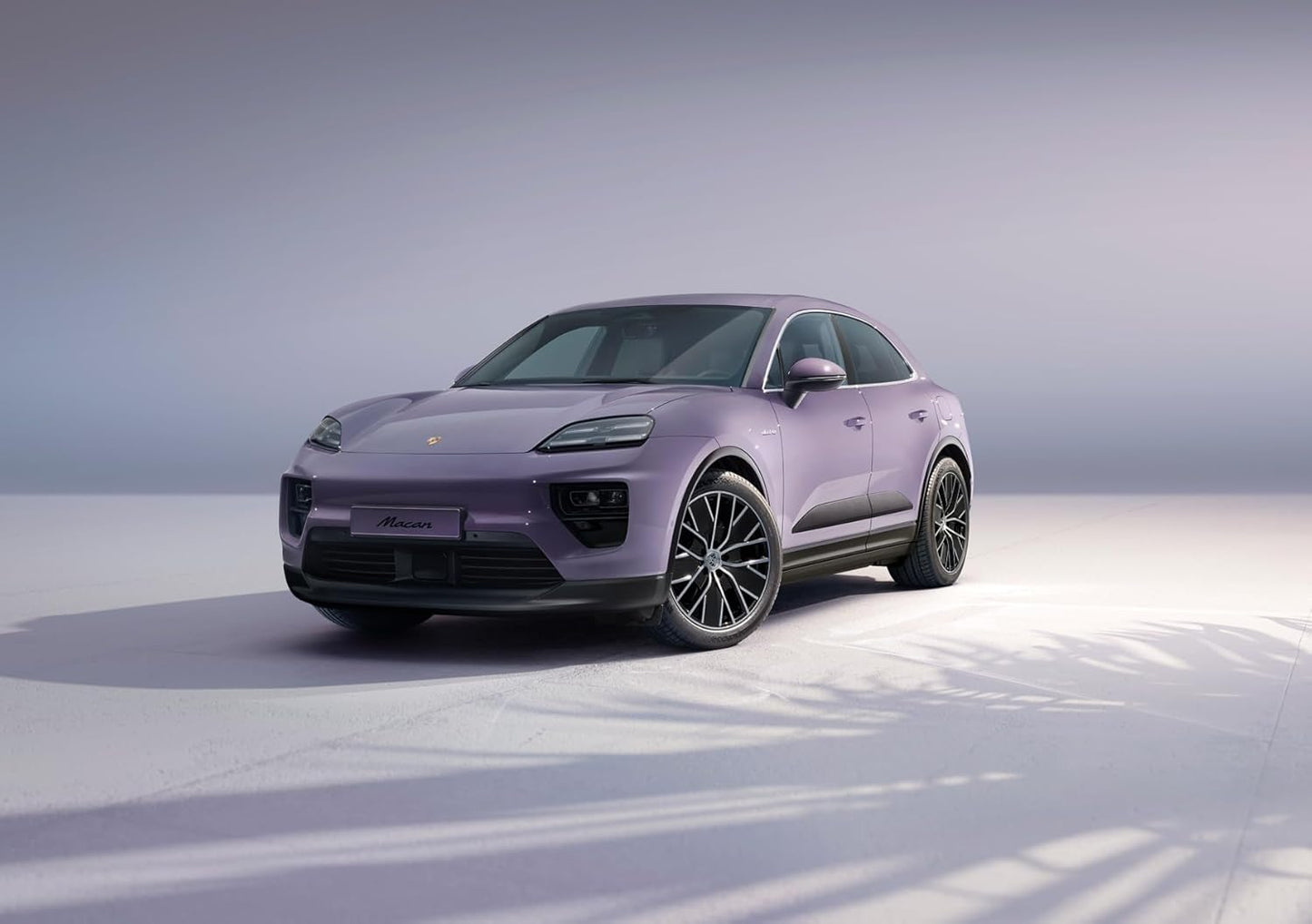 The Porsche Book  (The Car Book Series)
