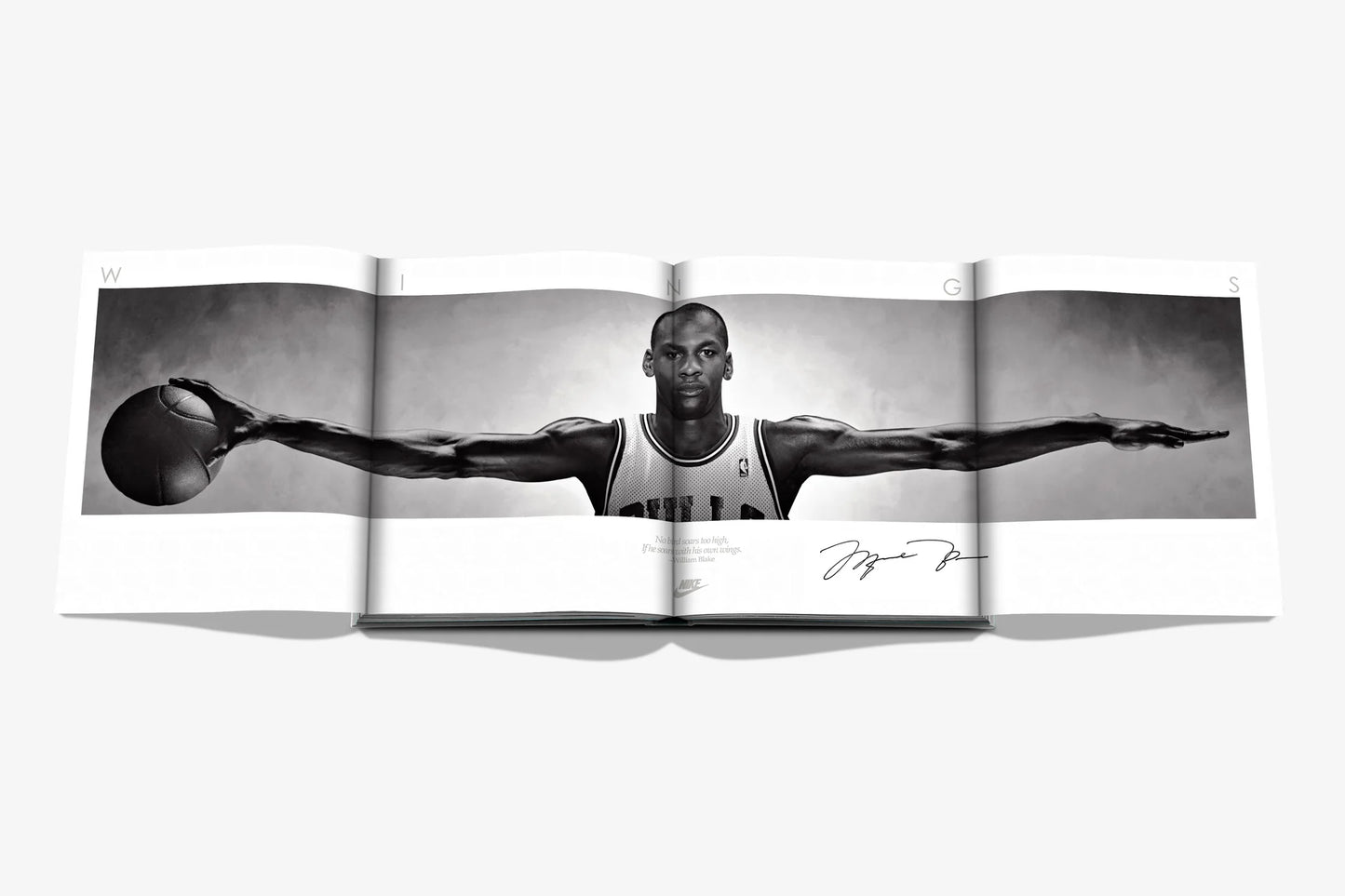 Air Jordan