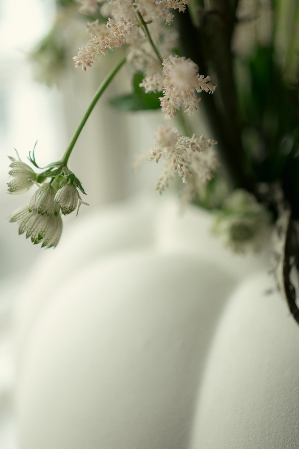Uva Vase - cream