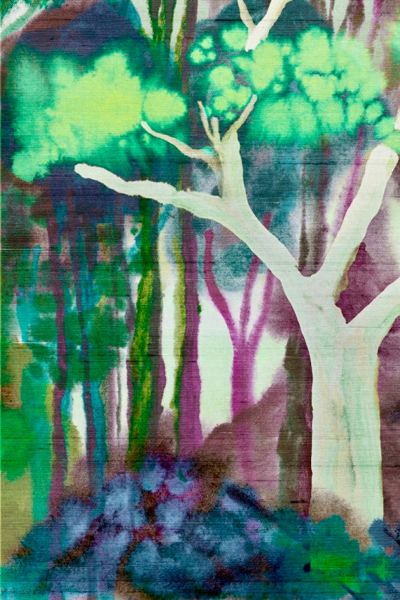 Collection Arte  Alaya - Banyan (Panorama)