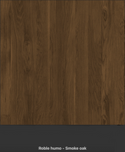 Load image into Gallery viewer, Terra Swivel
