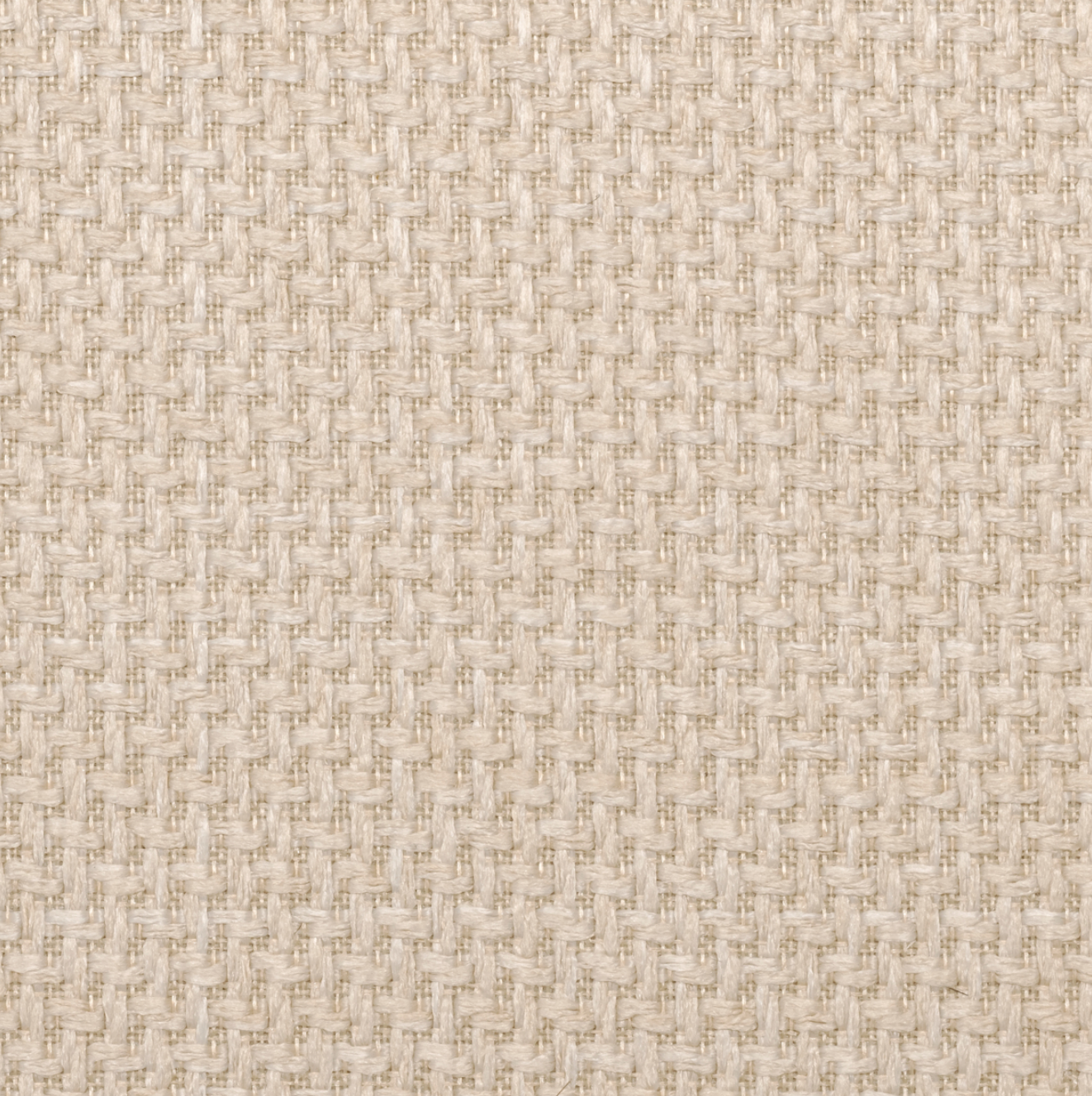 Camerota Dining Chair