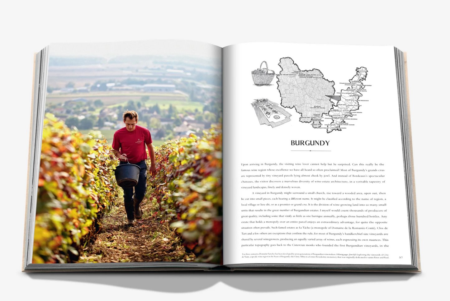 Wine & Travel France
