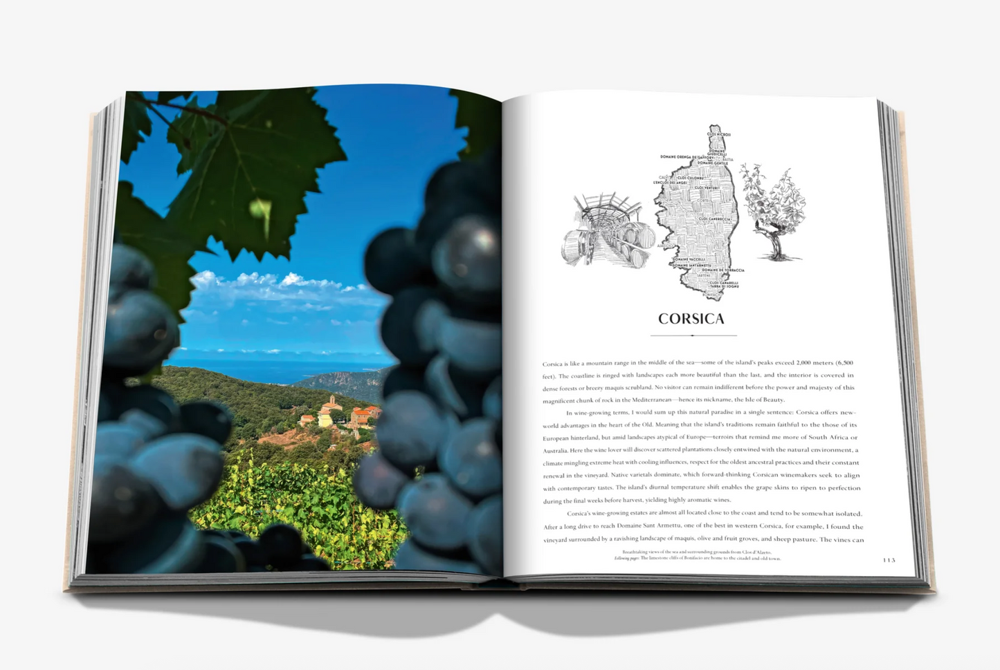 Wine & Travel France